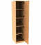 Single-case cabinet with shelves